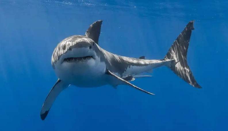 上海泽宇智能科技有限公司轮播图3